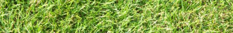 head_left_image