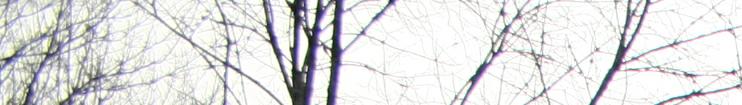 head_left_image