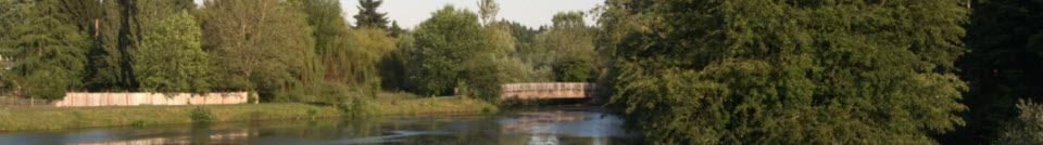 head_left_image
