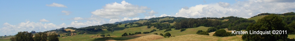 head_left_image