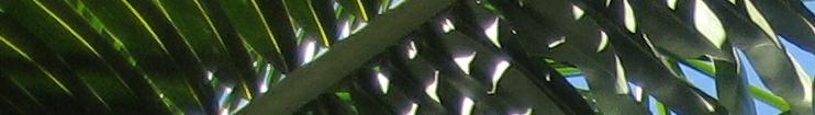 head_left_image