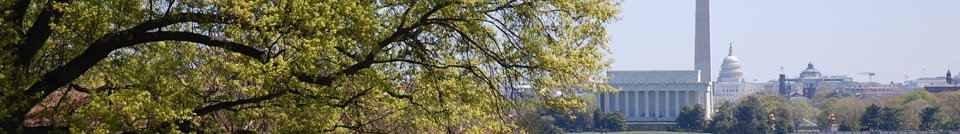 head_left_image