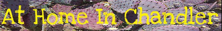 head_left_image