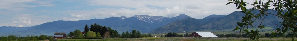 head_left_image