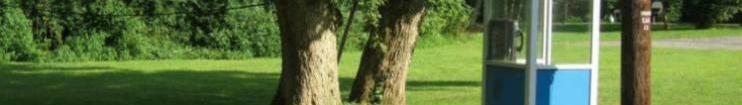 head_left_image