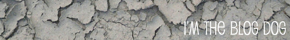 head_middle_image