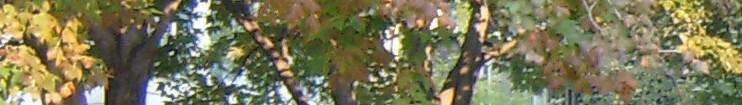 head_middle_image