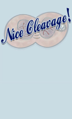 Design_lightblue