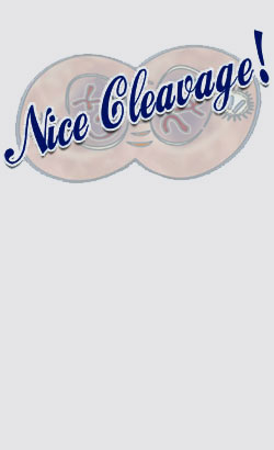 Design_silver