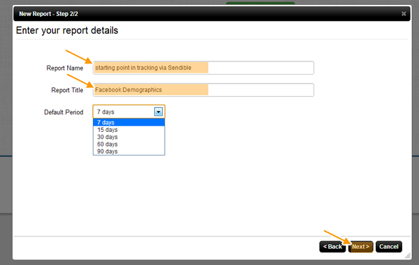 4-sendible-report-fields enter report details