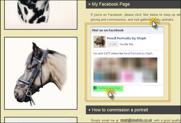 FB social plugins