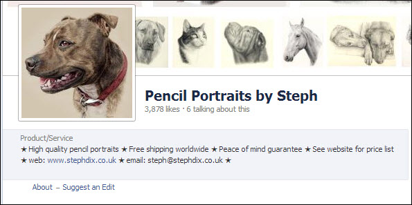 FB about page