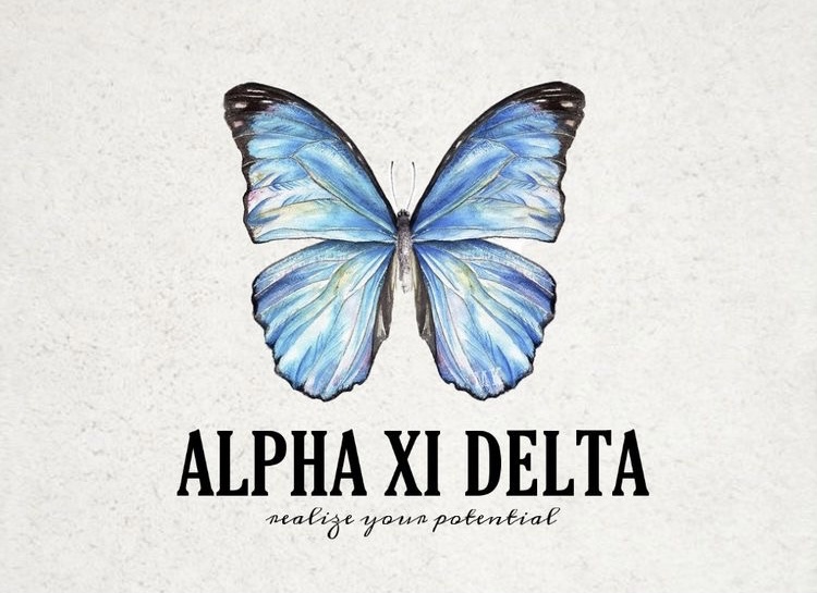 Home Alpha Xi Delta at University of Illinois