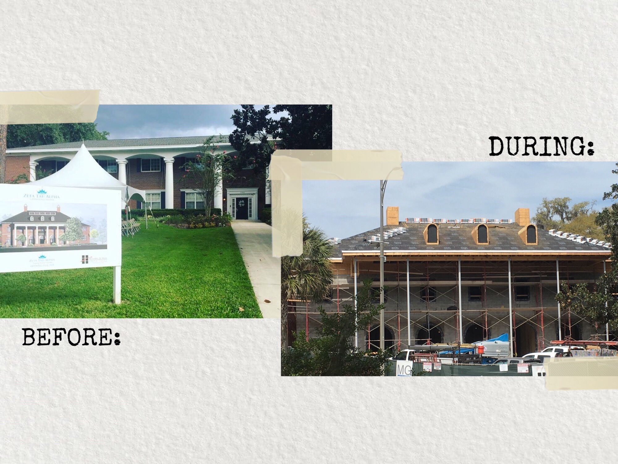 Home Zeta Tau Alpha at The University of Florida