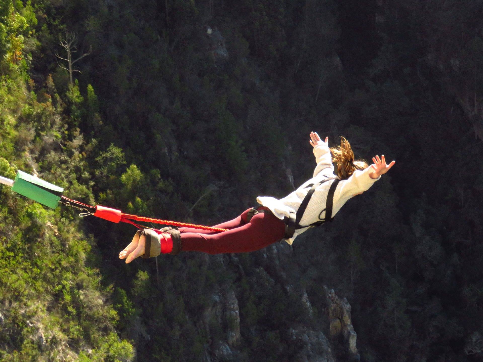 Home Kappa Kappa Gamma at University of Virginia