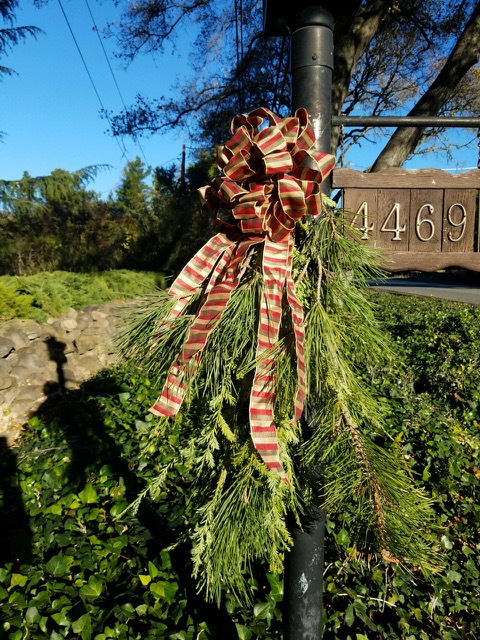 December 2020 Holiday ZOOM