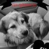 Rigsby_thumb