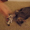 Dscf0219_thumb