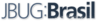 Jbugbrasil logo 300x64