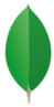 Mongoleaf