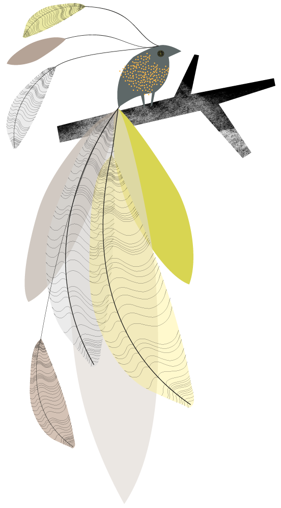 637-1e4ae6a-original
