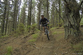 Akldbike_thumb