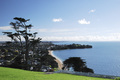 Auckland_thumb
