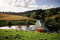 Matakana_thumb
