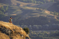 Hawkesbay5_thumb