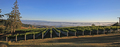 Pukeoravineyard2_thumb