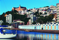 Wellingtonbay_thumb