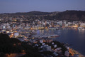 Wellingtoncity_thumb