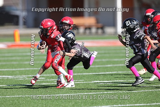 Edison Bantam Football EOYFL Championship Game