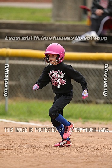 Follansbee BSA 8U Diamond Dolls