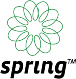 Spring Web Technologies