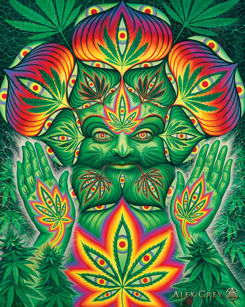 Is cannabis a psychedelic Is cannabis a psychedelic new foto Is cannabis a psychedelic Is cannabis a psychedelic new picture