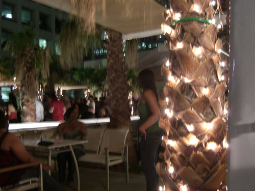 Petreus Patio