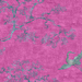 The Cranes Hot Pink