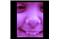 800ca2e9-6730-490a-bdfa-b3871a21926d