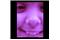 818761d4-37a4-45b4-9c01-a7f844dfa26a