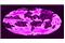 9e42b8d6-3091-4b34-aff2-4d780b0cd96b