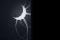 A8aaed2a-9c4e-1187-a217-311e13b4b28f