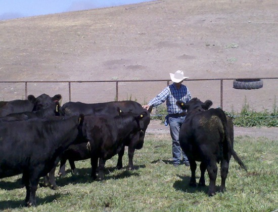 Ranch Life in photos Ranch Life in photos