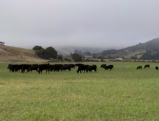 Ranch Life in photos Ranch Life in photos