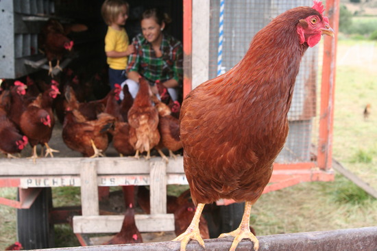 Ranch Life in photos