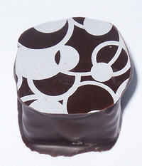 Cocotier2