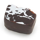 Cocotier