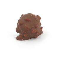 Rocher