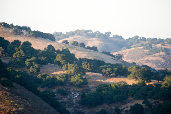 The Lush Santa Ynez Valley