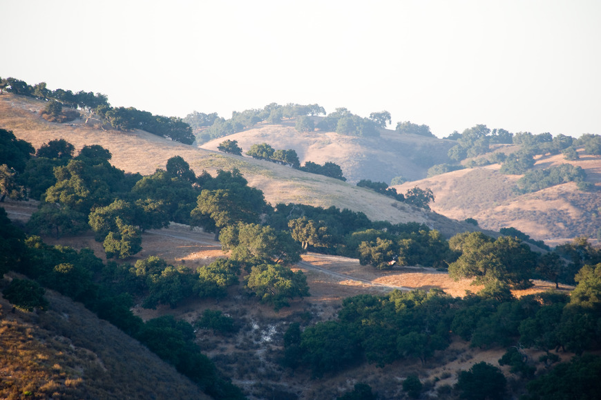 The Lush Santa Ynez Valley